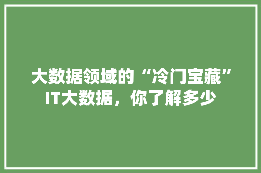 大数据领域的“冷门宝藏”IT大数据，你了解多少 市场营销范文