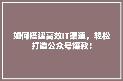 如何搭建高效IT渠道，轻松打造公众号爆款！ 前端技术