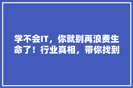 学不会IT，你就别再浪费生命了！行业真相，带你找到真正适合自己的职业道路 MySQL