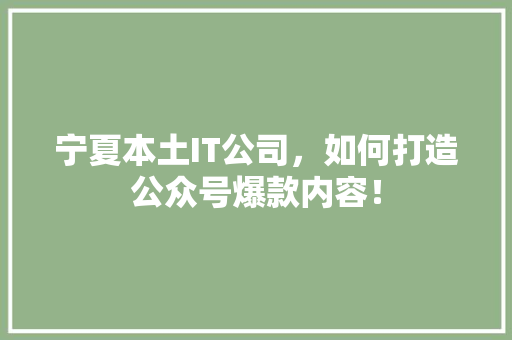 宁夏本土IT公司，如何打造公众号爆款内容！