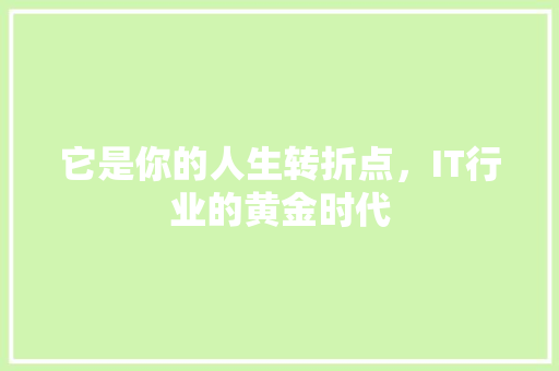 它是你的人生转折点，IT行业的黄金时代 市场营销范文