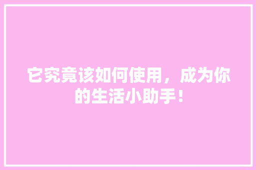 它究竟该如何使用，成为你的生活小助手！