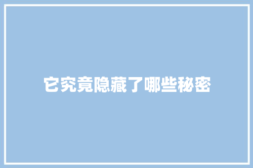 它究竟隐藏了哪些秘密 MySQL