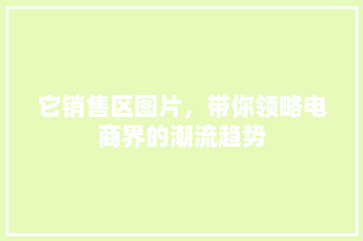 它销售区图片，带你领略电商界的潮流趋势