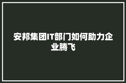 安邦集团IT部门如何助力企业腾飞 网站建设