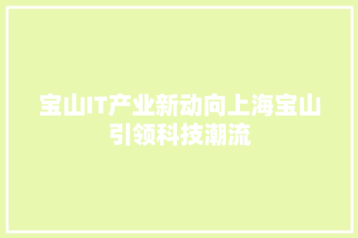 宝山IT产业新动向上海宝山引领科技潮流 项目报告