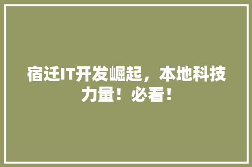 宿迁IT开发崛起，本地科技力量！必看！ 商务信函