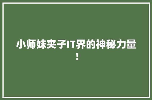 小师妹夹子IT界的神秘力量！ 缓存Redis