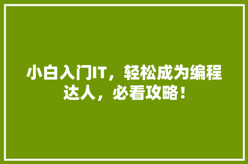 小白入门IT，轻松成为编程达人，必看攻略！