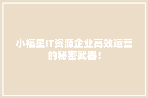 小福星IT资源企业高效运营的秘密武器！ 项目报告