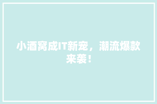 小酒窝成IT新宠，潮流爆款来袭！ 后端技术