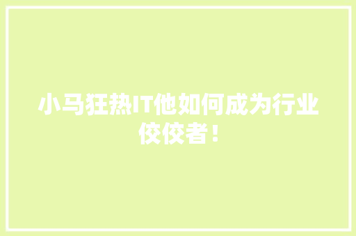 小马狂热IT他如何成为行业佼佼者！