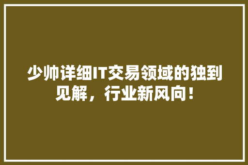 少帅详细IT交易领域的独到见解，行业新风向！