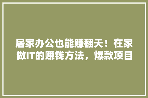 居家办公也能赚翻天！在家做IT的赚钱方法，爆款项目等你来
