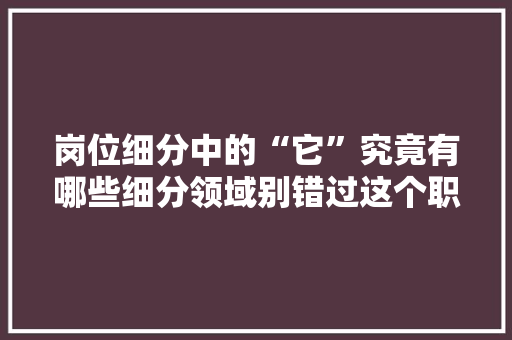 岗位细分中的“它”究竟有哪些细分领域别错过这个职场必看指南！