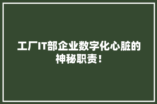 工厂IT部企业数字化心脏的神秘职责！ 网站建设