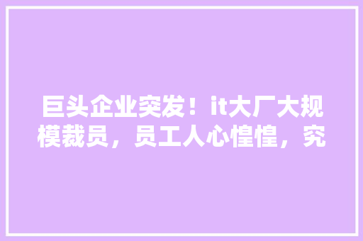 巨头企业突发！it大厂大规模裁员，员工人心惶惶，究竟发生了什么