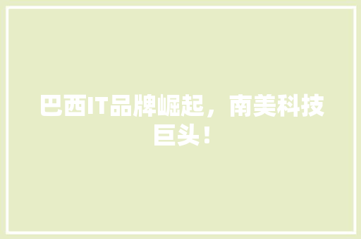 巴西IT品牌崛起，南美科技巨头！ 后端技术
