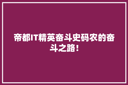 帝都IT精英奋斗史码农的奋斗之路！ 项目报告