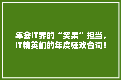 年会IT界的“笑果”担当，IT精英们的年度狂欢台词！