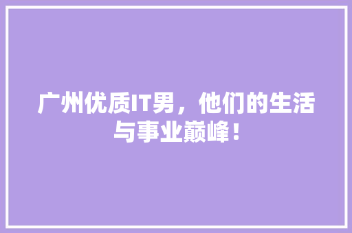 广州优质IT男，他们的生活与事业巅峰！ 项目报告