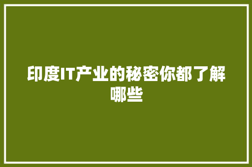 印度IT产业的秘密你都了解哪些 网站建设