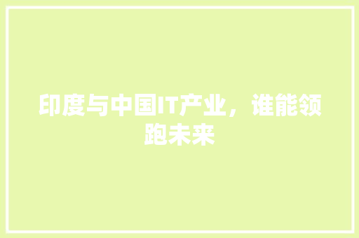 印度与中国IT产业，谁能领跑未来