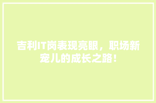 吉利IT岗表现亮眼，职场新宠儿的成长之路！ 网站建设