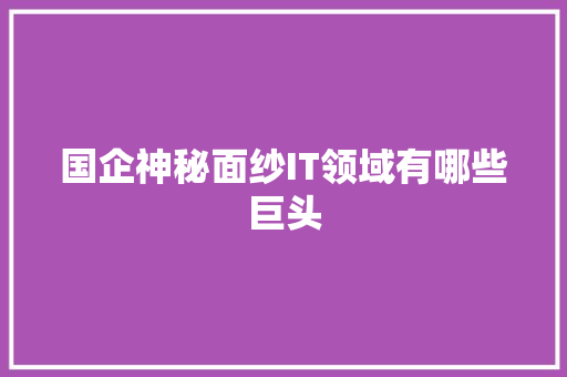 国企神秘面纱IT领域有哪些巨头