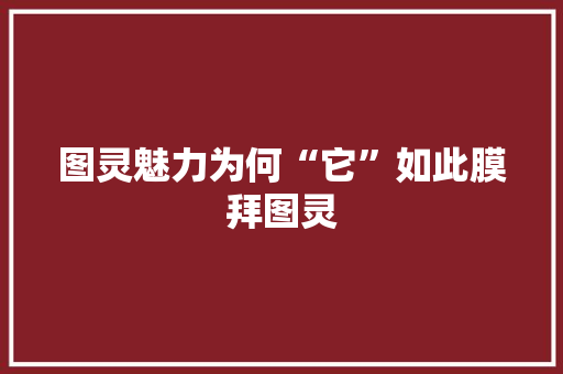 图灵魅力为何“它”如此膜拜图灵