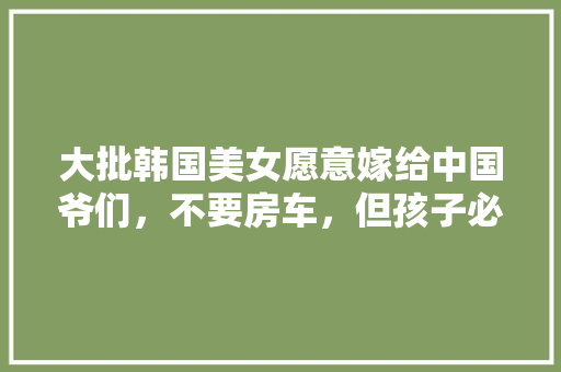 720网站搭建,介绍高效信息传播的秘密武器