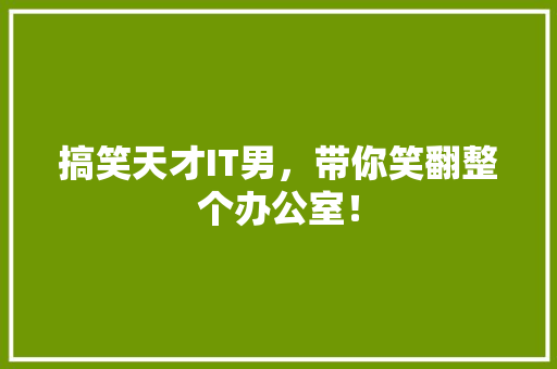 搞笑天才IT男，带你笑翻整个办公室！
