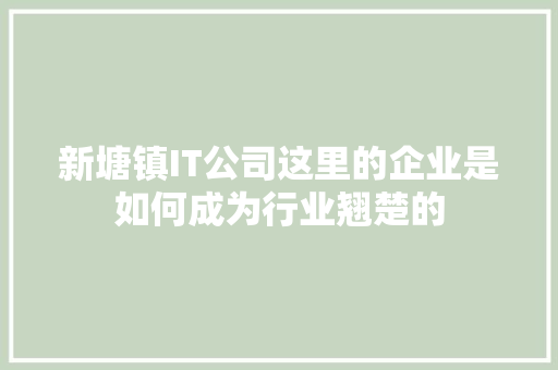 新塘镇IT公司这里的企业是如何成为行业翘楚的 项目报告