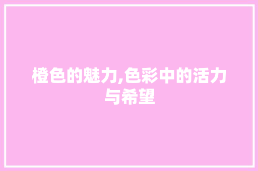 橙色的魅力,色彩中的活力与希望
