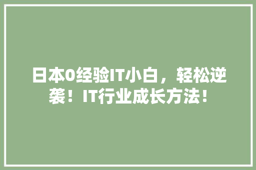 日本0经验IT小白，轻松逆袭！IT行业成长方法！ 项目报告