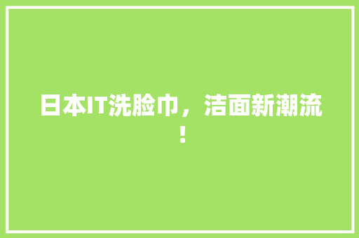 日本IT洗脸巾，洁面新潮流！ 网站建设