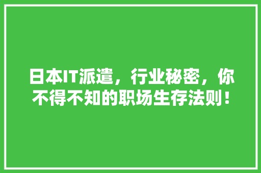 日本IT派遣，行业秘密，你不得不知的职场生存法则！ 响应式设计