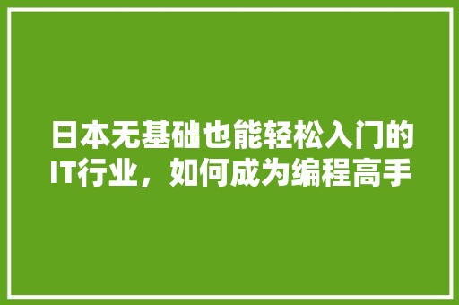日本无基础也能轻松入门的IT行业，如何成为编程高手！