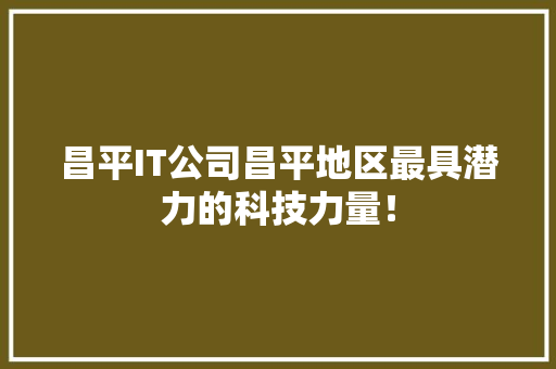昌平IT公司昌平地区最具潜力的科技力量！