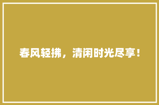 春风轻拂，清闲时光尽享！ 项目报告