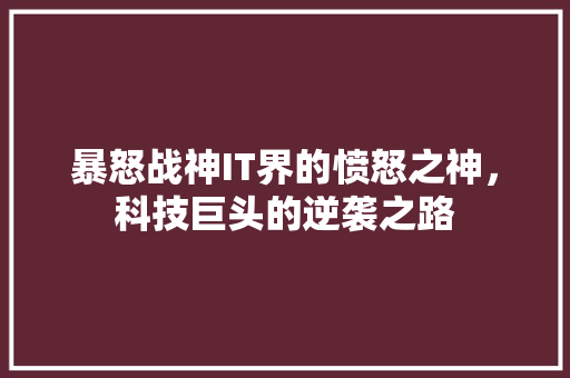 暴怒战神IT界的愤怒之神，科技巨头的逆袭之路