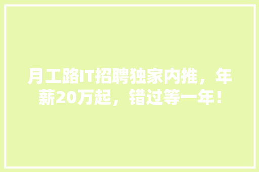 月工路IT招聘独家内推，年薪20万起，错过等一年！ 项目报告