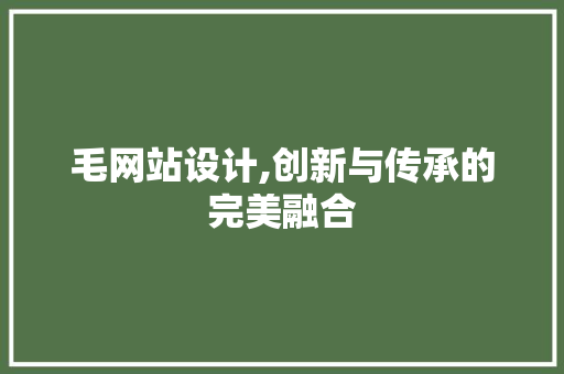 毛网站设计,创新与传承的完美融合 缓存Redis