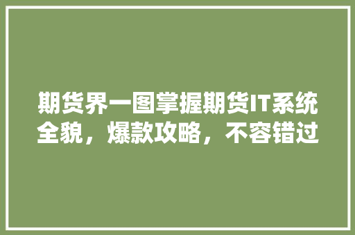 期货界一图掌握期货IT系统全貌，爆款攻略，不容错过！