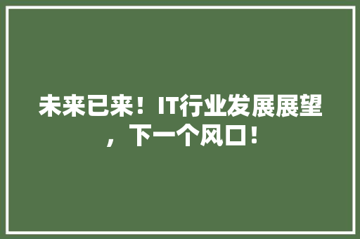 未来已来！IT行业发展展望，下一个风口！