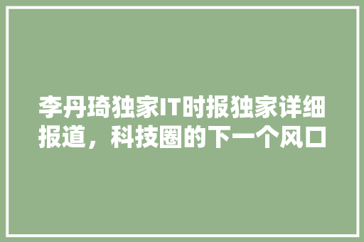 李丹琦独家IT时报独家详细报道，科技圈的下一个风口！