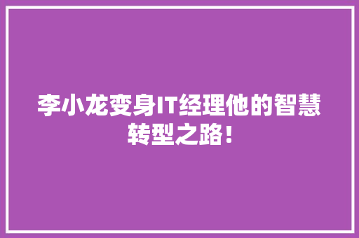 李小龙变身IT经理他的智慧转型之路！