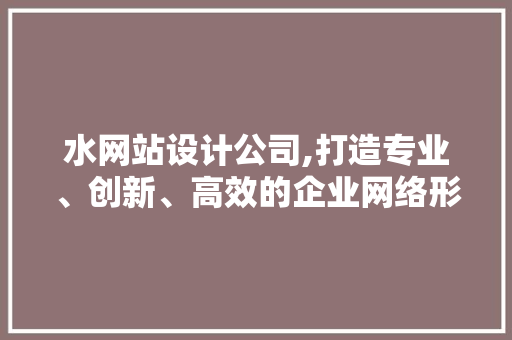 水网站设计公司,打造专业、创新、高效的企业网络形象