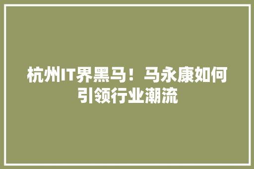 杭州IT界黑马！马永康如何引领行业潮流 项目报告
