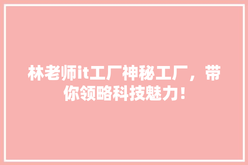 林老师it工厂神秘工厂，带你领略科技魅力！